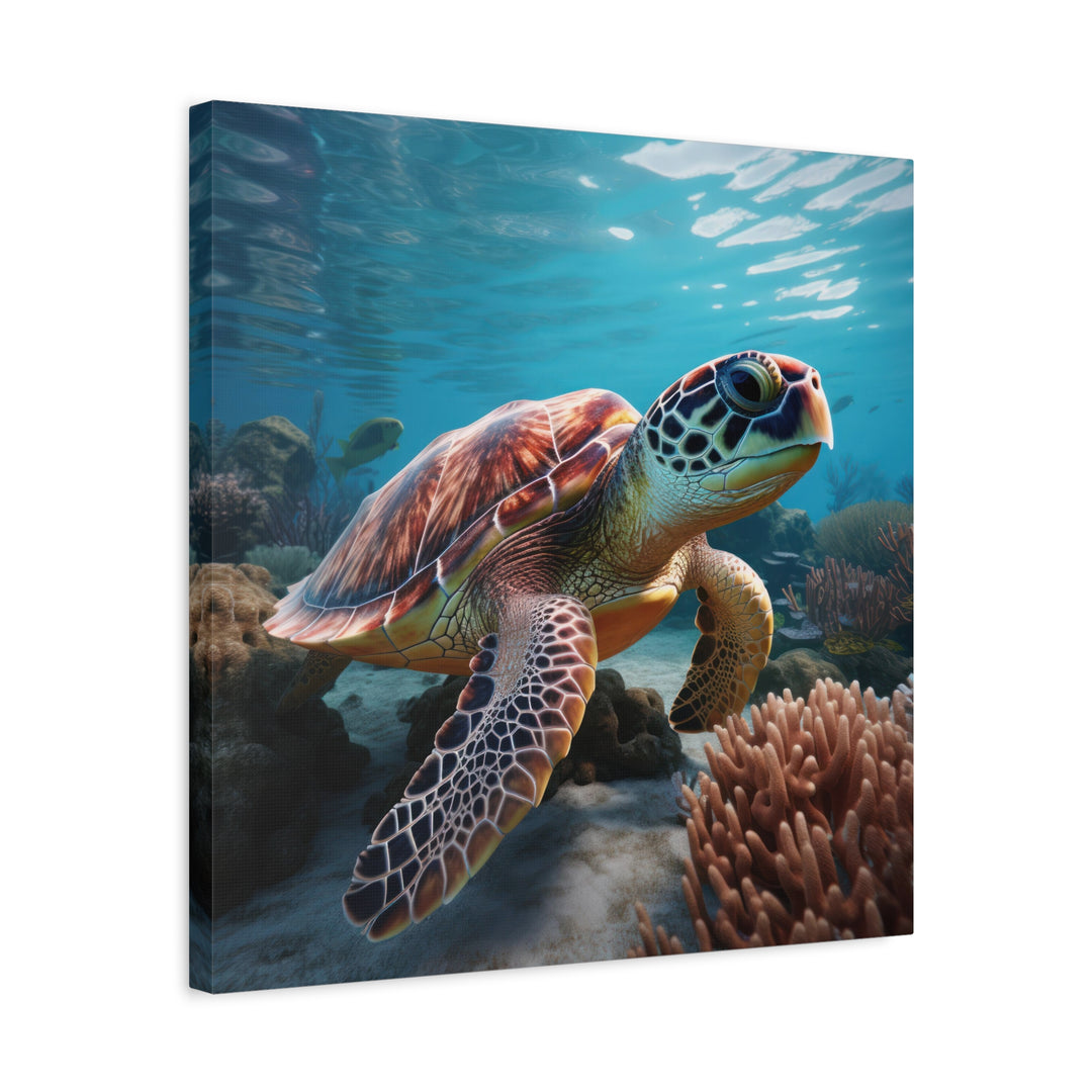 Sea Turtle