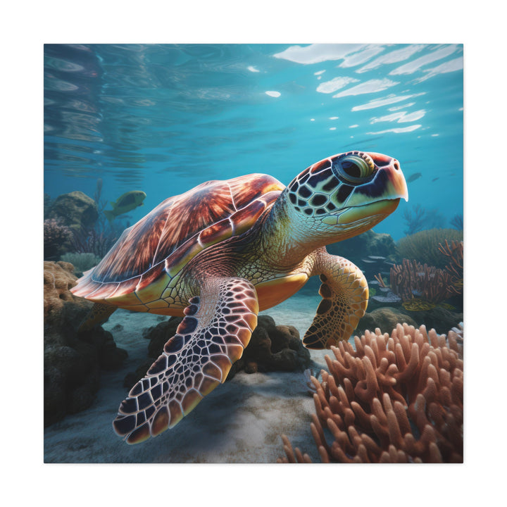 Sea Turtle