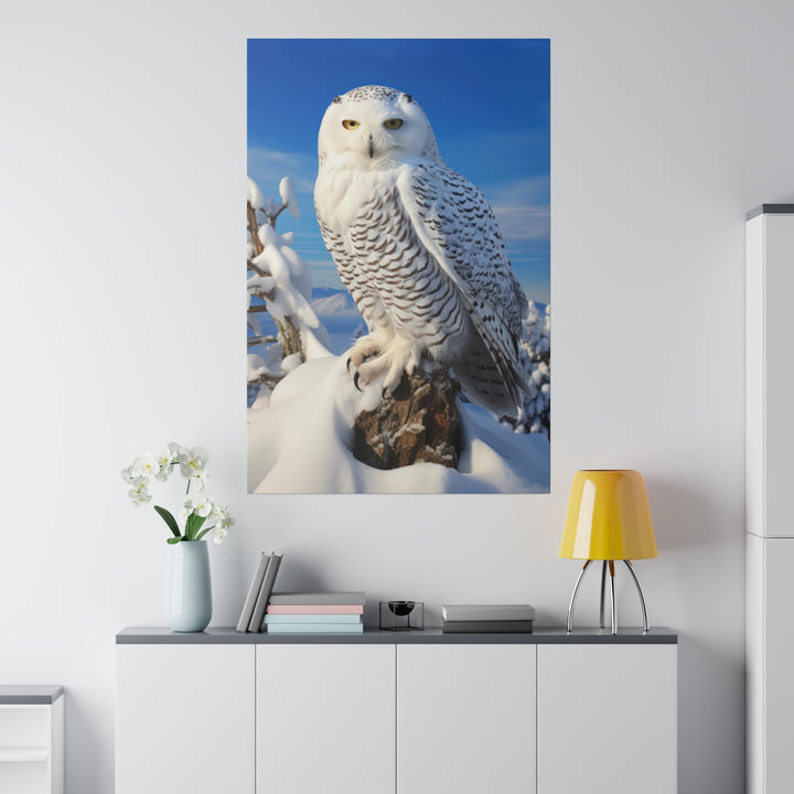 Snowy Owl