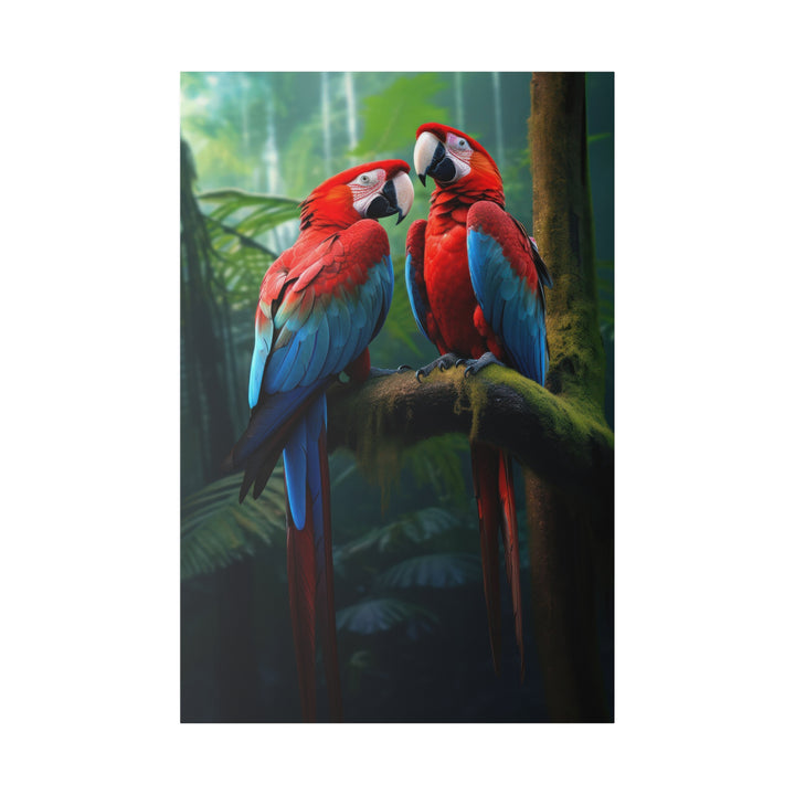 Wild Scarlet Macaw's