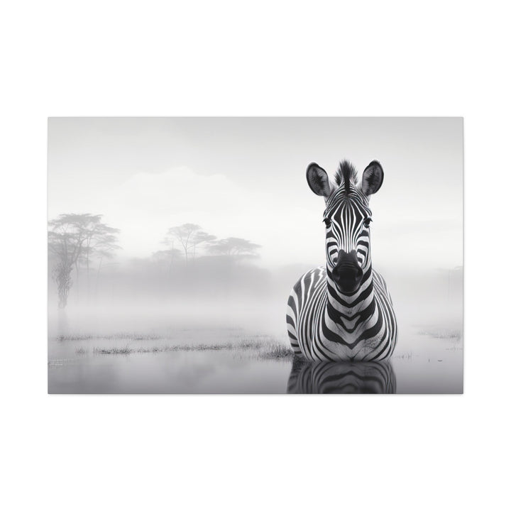 Dreamy Zebra Black & White