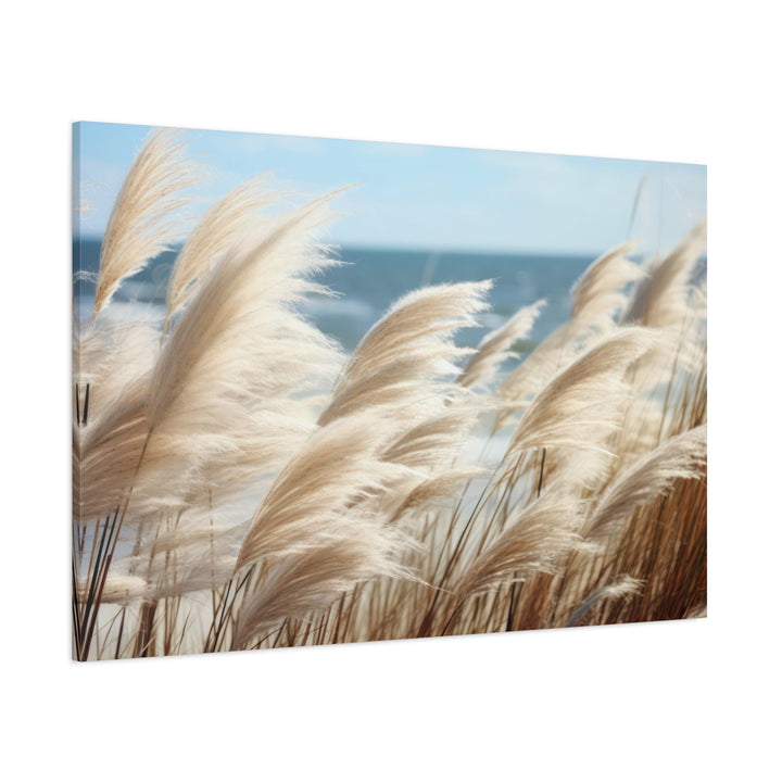 Coastal Grass