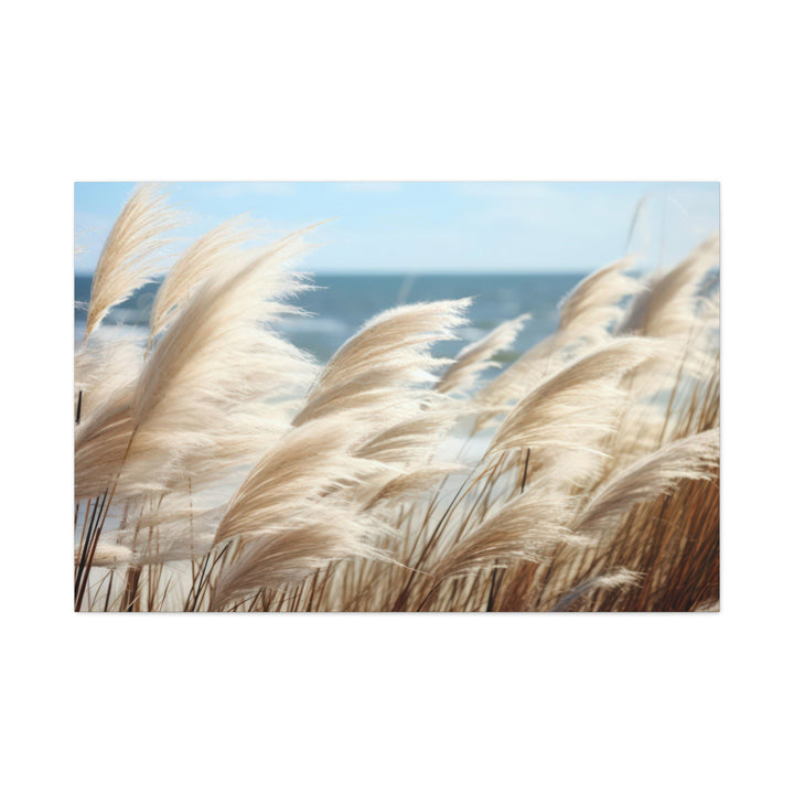 Coastal Grass