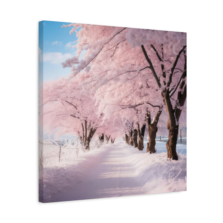 Cherry Blossom Winter